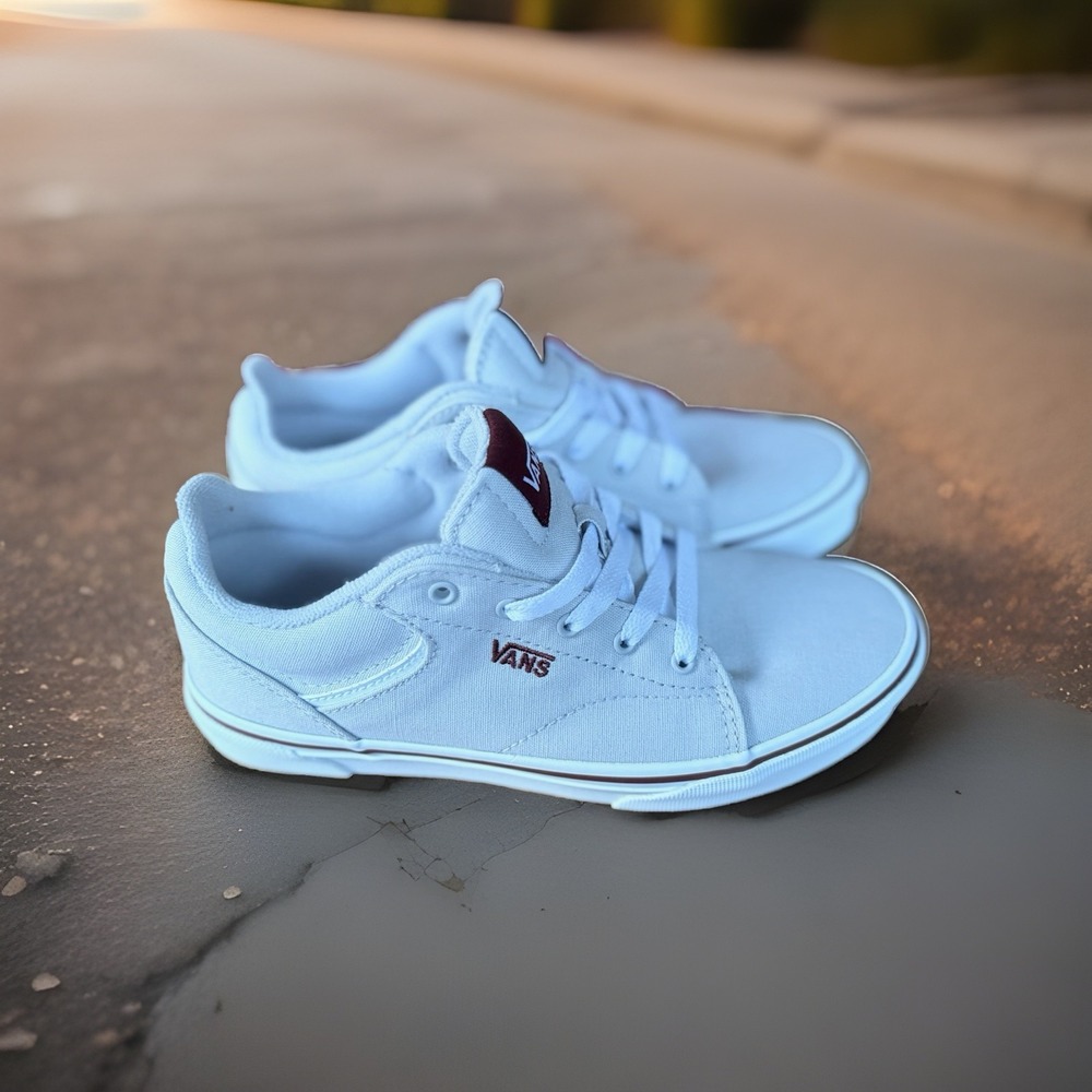 Vans Seldan Pop Lunar Rock Kids Sneakers Gray Burgundy 4Y VN0A4TZE24P1